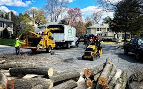 Best Tree Trimming and Pruning  in New Oxford, PA